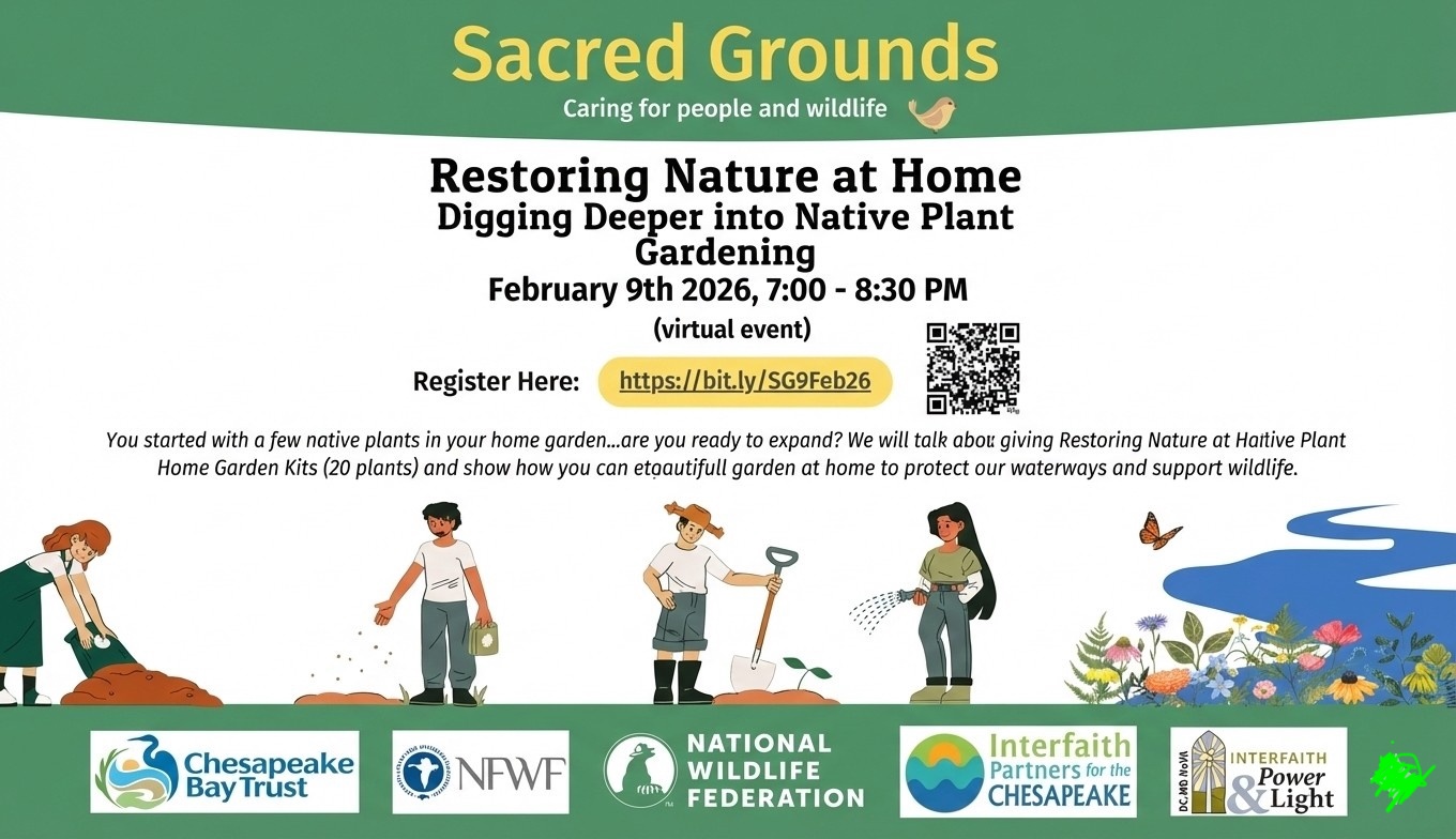 Sacred Grounds: Restoring Nature at Home